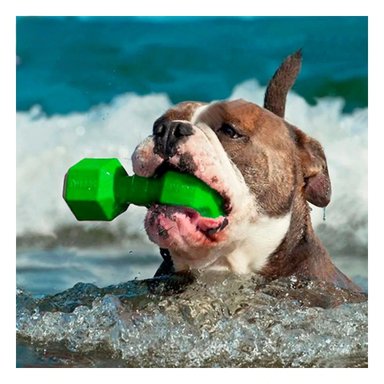 PACK4 COMPONENTE DE CAUCHO TIPO PESAS PARA PERRO VERDE DURADERO CONFIABLE - 2