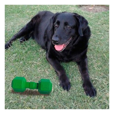 PACK4 COMPONENTE DE CAUCHO TIPO PESAS PARA PERRO VERDE DURADERO CONFIABLE - 5