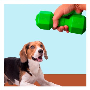 PACK2 ENTRETENEDOR DE CAUCHO PESAS PARA PERRO VERDE SEGURO Y ACTIVO FUERTE Y+REGALO STICKER - 3