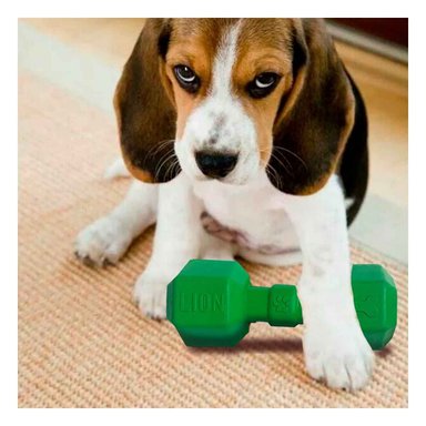 PACK2 ENTRETENEDOR DE CAUCHO PESAS PARA PERRO VERDE SEGURO Y ACTIVO FUERTE Y+REGALO STICKER - 5