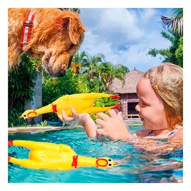 PACK6 ACCION POLLO CHILLON AMARILLO TALLA L PARA PERRO GRANDE Y+PAPEL REGALO - 1