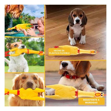 PACK6 ACCION POLLO CHILLON AMARILLO TALLA L PARA PERRO GRANDE Y+PAPEL REGALO - 3