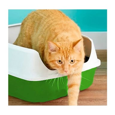 PACK2 CAJA HIGIENICA SEMICERRADA VERDE PARA GATOS CON CONTROL DE OLORES Y+REGALO STICKER - 3