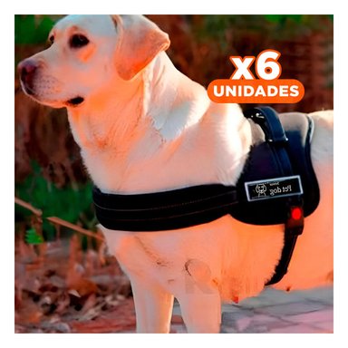 PACK6 CHALECO SEGURO PARA PERRO TALLA L COLOR NEGRO CON AJUSTE FIRME Y+REGALO STICKER - 1