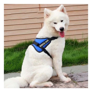 PACK4 CHALECO DE TRABAJO PARA PERRO TALLA L COLOR AZUL - 2