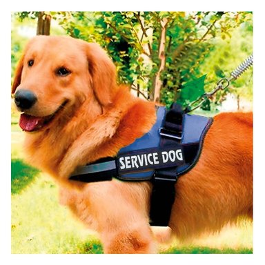 PACK4 CHALECO DE TRABAJO PARA PERRO TALLA L COLOR AZUL - 5