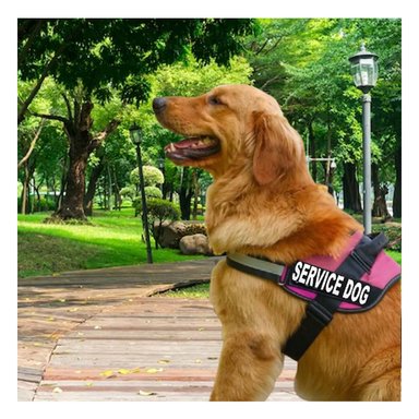 PACK6 PECHERA AJUSTABLE PARA PERRO DE SERVICIO TALLA L ROSADO - 5
