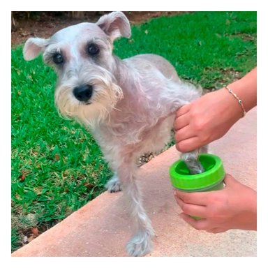 PACK12 CEPILLO PARA LIMPIAR PATAS DE MASCOTA VERDE USO DIARIO - 3