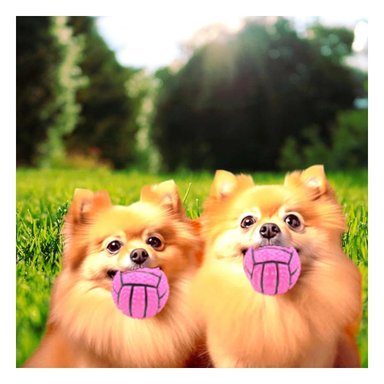 PACK2 ACCESORIO RESISTENTE PARA PERRO A RAYAS DE CAUCHO ROSADO CON SONIDO Y+REGALO STICKER - 3