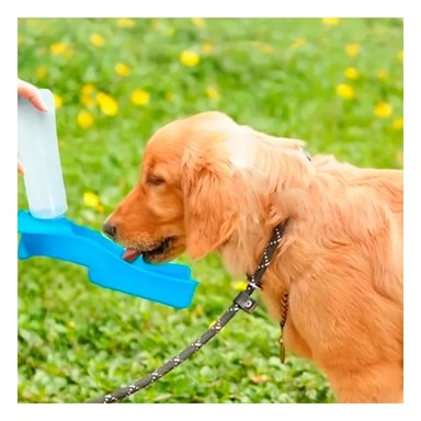 PACK4 CONTENEDOR COMPACTO CELESTE PARA MASCOTA CON USO DIARIO EN EXTERIORES Y+REGALO STICKER - 3