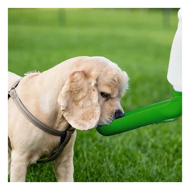 PACK4 RECIPIENTE COMPACTO VERDE PARA PERRO CON DISPENSADOR INTEGRADO - 5