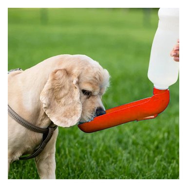 PACK12 RECIPIENTE FUNCIONAL ROJO PARA PERRO CON FORMATO PRACTICO - 2