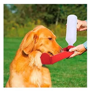 PACK12 RECIPIENTE FUNCIONAL ROJO PARA PERRO CON FORMATO PRACTICO - 5