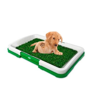 SISTEMA HIGIENICO PARA PERROS CACHORRO BLANCO RESISTENTE PARA INTERIOR Y+REGALO STICKER - 3