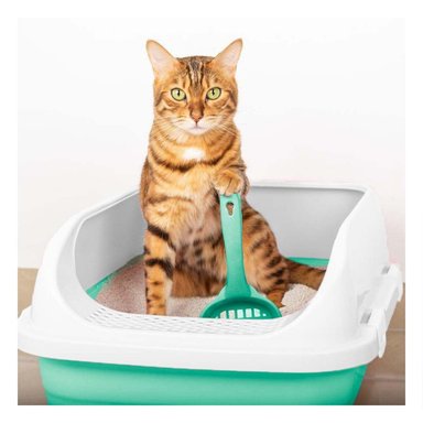 PACK4 ESTACION ROSADA PARA GATO CON BANDEJA EXTRAIBLE ABIERTA - 5