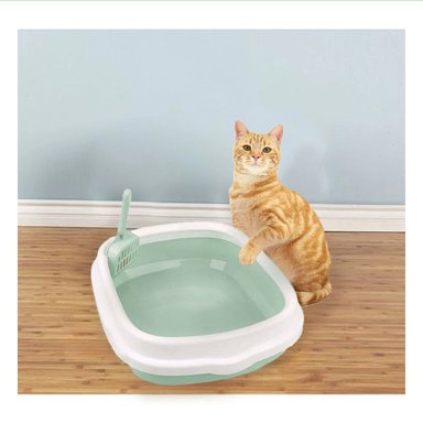 PACK12 ZONA VERDE PARA GATO CON PALA CERNIDORA 48X40X12,5 - 3