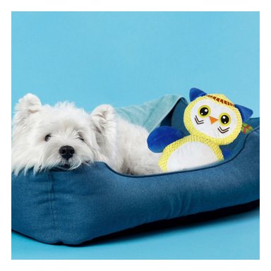 PACK4 FIGURA ACOLCHADA DE BUHO AMARILLO PARA MASCOTA CON FORMA ENCANTADORA - 3