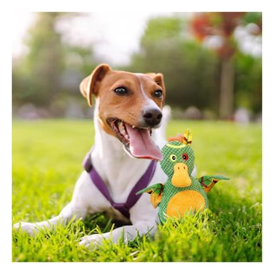 PACK4 COMPANERO SUAVE DE PATO SELVATICO VERDE PARA MASCOTA CON FORMA CREATIVA Y+PAPEL REGALO - 5