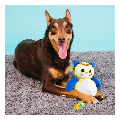 PACK6 FIGURA DECORATIVA DE BUHO AMARILLO PARA MASCOTA EN CASA Y+REGALO STICKER - 3