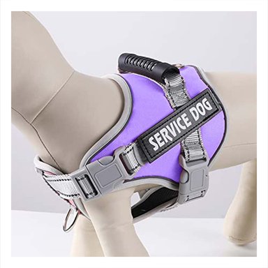 ARNES ACOLCHADO CON ASA SUPERIOR PARA PERRO SERVICE DOG TALLA S MORADO Y+REGALO STICKER - 2