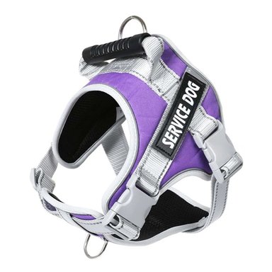 ARNES ACOLCHADO CON ASA SUPERIOR PARA PERRO SERVICE DOG TALLA S MORADO Y+REGALO STICKER - 3