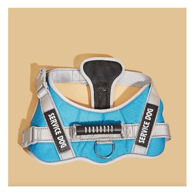 PACK6 ARNES DE CONTROL SERVICE DOG TALLA S TURQUEZA CON ASA Y BROCHES FIRMES Y+REGALO STICKER - 1