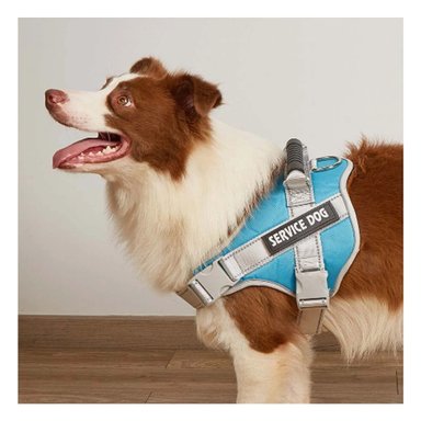 PACK6 ARNES DE CONTROL SERVICE DOG TALLA S TURQUEZA CON ASA Y BROCHES FIRMES Y+REGALO STICKER - 5