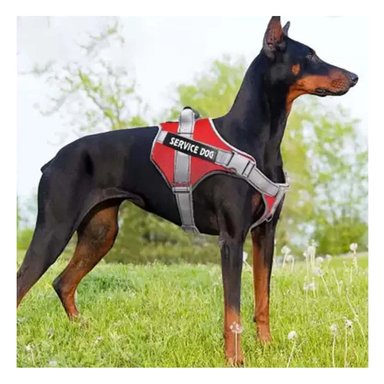 PECHERA CON ASA SERVICE DOG TALLA S ROJO ESTILO CHALECO AJUSTABLE Y+LIGAS REGALO - 1