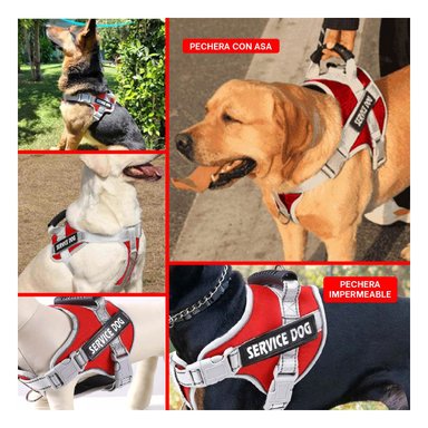 PECHERA CON ASA SERVICE DOG TALLA S ROJO ESTILO CHALECO AJUSTABLE Y+LIGAS REGALO - 5