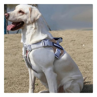 PACK4 ARNES REGULABLE SERVICE DOG TALLA S MARRON CON ASA Y+REGALO STICKER - 1