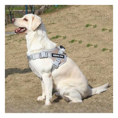 PACK4 ARNES REGULABLE SERVICE DOG TALLA S MARRON CON ASA Y+REGALO STICKER - 5