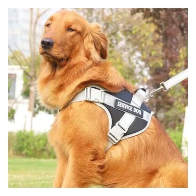 PACK2 ARNES MORADO PECHERA CHALECO CON ASA SERVICE DOG TALLA M PARA MASCOTAS Y+PAPEL REGALO - 5