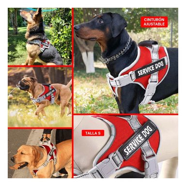 PACK4 ARNES REGULABLE SERVICE DOG TALLA S ROJO CON ASA Y CIERRES SEGUROS Y+REGALO STICKER - 2