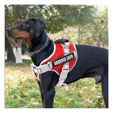 PACK4 ARNES REGULABLE SERVICE DOG TALLA S ROJO CON ASA Y CIERRES SEGUROS Y+REGALO STICKER - 3