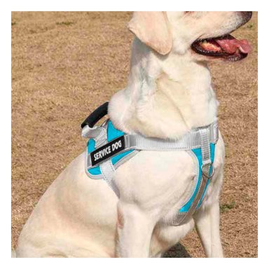 PACK4 ARNES CON ASA TIPO CHALECO PARA PERRO SERVICE DOG TALLA M TURQUEZA Y+REGALO STICKER - 5