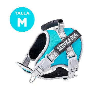 PACK2 ARNES CON ASA DE ENTRENAMIENTO PARA PERRO SERVICE DOG TALLA M TURQUEZA Y+PAPEL REGALO - 4