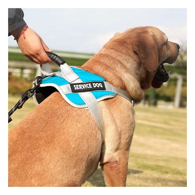 PACK2 ARNES CON ASA DE ENTRENAMIENTO PARA PERRO SERVICE DOG TALLA M TURQUEZA Y+PAPEL REGALO - 5