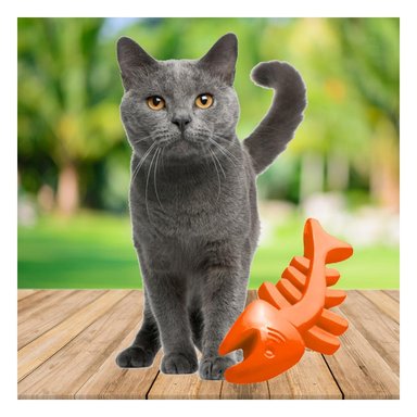 PACK6 PIEZA RESISTENTE DE GOMA EN FORMA DE PESCADO EN COLOR NARANJA PARA JUEGO DIARIO - 3