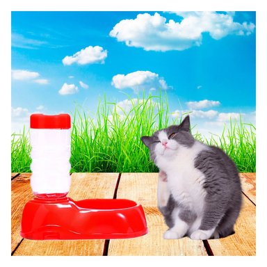 PACK2 FUENTE DE AGUA ROJO PARA MASCOTA COMODA Y PRACTICA Y RESISTENTE - 5