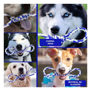 PACK2 JUGUETE TRENZADO AZUL PARA MASCOTA 4 NUDOS REFORZADO Y RESISTENTE Y+PAPEL REGALO - 3