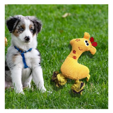 PACK6 FIGURA PELUCHE AMARILLO PARA MASCOTA FIRME Y DIVERTIDO ESTABLE Y+REGALO STICKER - 3