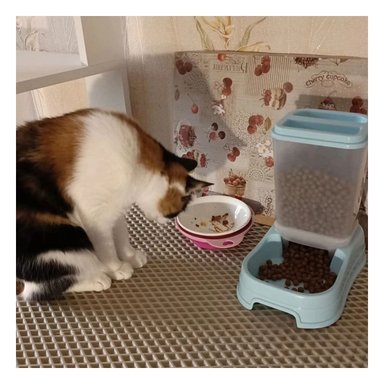 ALIMENTADOR RECTANGULAR CELESTE DE COMIDA PARA MASCOTA ESTABLE Y SEGURO Y+REGALO STICKER - 2