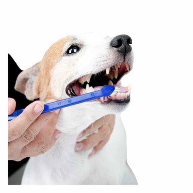 PACK4 EQUIPO DENTAL MASCOTAS 3 PIEZAS LIMPIEZA PROFUNDA Y COMODA - 2