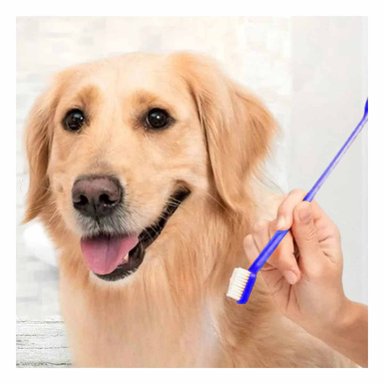 PACK4 EQUIPO DENTAL MASCOTAS 3 PIEZAS LIMPIEZA PROFUNDA Y COMODA - 3