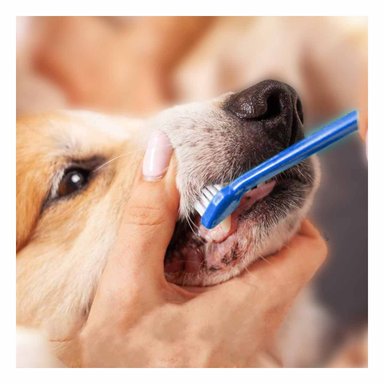 PACK4 EQUIPO DENTAL MASCOTAS 3 PIEZAS LIMPIEZA PROFUNDA Y COMODA - 5