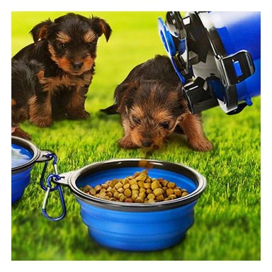 PACK2 RECIPIENTE PRACTICO CON PLATO PLEGABLE PARA MASCOTA AZUL Y+REGALO STICKER - 3