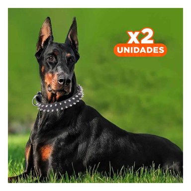 PACK2 COLLARIN NEGRO AJUSTABLE CON PUAS TALLA XL COMODO Y ELEGANTE EN HOGAR Y+REGALO STICKER - 1