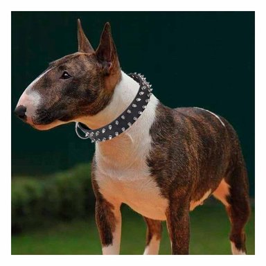 PACK4 COLLARIN NEGRO DE CUERO CON PUAS TALLA L RESISTENTE Y ESTILIZADO PARA PERROS - 3