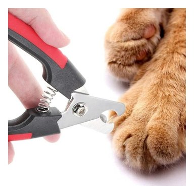PACK6 SET DE PEDICURA PARA MASCOTAS PARA FOMENTAR MUCHA LIMPIEZA ROJO CHICO - 3