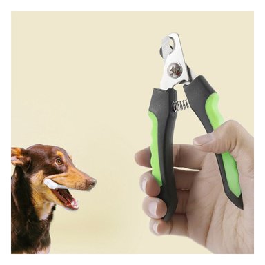 PACK6 ACCESORIO DE ASEO PARA EL DESARROLLO DE SU ESTILO VERDE CON LIMA Y+REGALO STICKER - 3